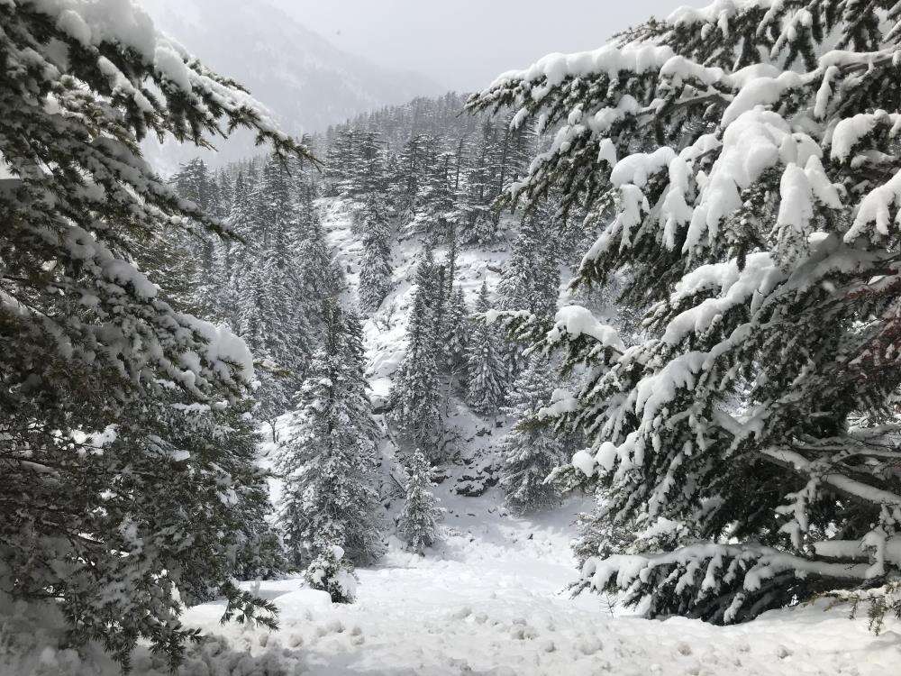 25 santim kar yağdığını duyan Konya yoluna akın etti 23